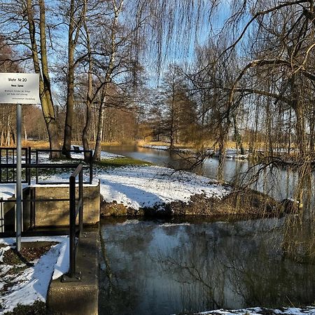 Ferienwohnung Nachtigall Burg  Buitenkant foto