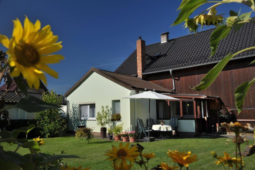 Ferienwohnung Nachtigall Burg  Buitenkant foto